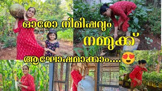 ഓരോ നിമിഷവും നമ്മുക്ക് ആഘോഷമാക്കാം 😍 | ഭൂമി എത്ര സുന്ദരം | Jackfruit | Garden