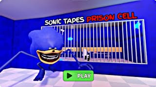 Sonic Tapes Barry's prison Run