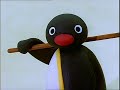 pingu s tobogganing pingu official cartoons for kids