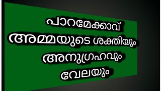 തൃശൂർ പാറമേക്കാവ് വേലയും അമ്മയുടെ ശക്തിയും #vishnumayavinod #vlog #vinodvishnumaya #shorts