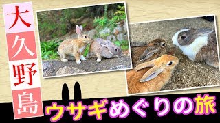 【雨男再び】大久野島で癒し満載！ウサギめぐりの旅【広島県竹原市】#13