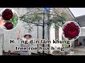 Hướng dẫn làm khung hoa Hồng tree rose thân gỗ siêu đẹp chắc chắn.CHUẨN GARDEN TV