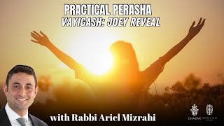 Vayigash: Joey Reveal | Rabbi Ariel Mizrahi