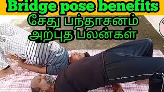 சேது பந்தாசனம் செய்முறை அதன் நன்மைகள் /Bridge pose sedubandasanam benefits/Tamil/Tkhealthtips.TK.