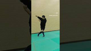 八卦掌日常 後天掌-狸  形意劈拳#baguazhang #xingyiquan #kungfu #martialarts #dayinthelife