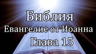 Библия | Евангелие от Иоанна - Глава 15