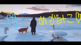 【長野県】女神湖のマジックアワー♡おさんぽはんぶんこ〜♡の巻。