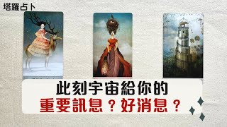 蘇晴塔羅🔮 宇宙給你的重要訊息? 好消息?｜目前所關注的事物｜無時間限制 🦋