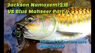 Jackson Namazemi Field Testing Part 4 -- Thailand Chiew Larn Lake 泰国秋兰湖生蝉测试第四部