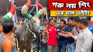 বড় বড় শিং এর রাজস্থানী গরু ত্রি জেলা গরু মেলায়। গরু মেলা ২০২৩। কৃষি শিক্ষা প্রতিদিন