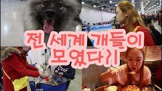 [vlog] 러시아에서 주말에 뭐하지?ㅣчто делает кореянка в России в выходные