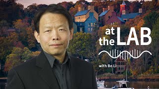 At the Lab Ep. 20: Cleanup on IL-6