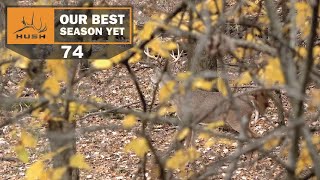 BSY | SHOOTER PUBLIC LAND BUCK WITH THE HUNTING PUBLIC | S1E74