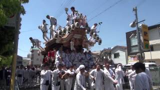 2015年　神戸・住吉だんじり③　曳行・呉田