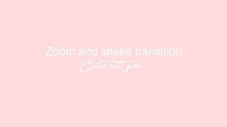 Zoom and shake transition CCP// flick & holly ccp Zoom and shake transition CCP// flick & holly ccp