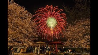 【白竜湖花火2019】第5部～おもてなし花火～（広島県三原市大和町）／備後カメラ部