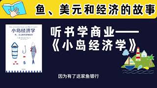 听书学商业——小岛经济学  这本薄薄的书，等于三本经济学大部头#business #books #money #financial #financialfreedom #economy