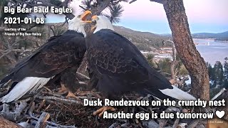 Big Bear Eagles🦅Dusk Rendezvous On The Crunchy Nest🌛 Jackie Gives Shadow A "What For"🎶2021-01-08