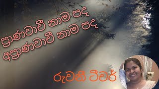 ප්‍රාණවාචී හා අප්‍රාණවාචී නාමපද