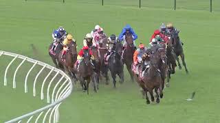 HERE TO SHOCK WINS AT DOOMBEN