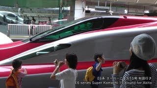 新幹線E5系はやぶさE6系スーパーこまち 東京駅 Shinkansen E5 HAYABUSA \u0026 E6 SUPER KOMACHI