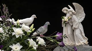 Funeral Notebook Raise Funeral Funds Online