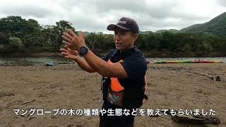 奄美大島研修旅行 〜カヌーに乗ってマングローブの森へ〜