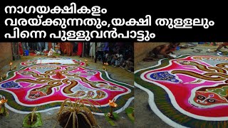 നാഗയക്ഷികളം പുള്ളുവൻമാർ വരയ്ക്കുന്നത് കണ്ടിട്ടുണ്ടോ? കളമെഴുത്തും യക്ഷി അമ്മയുടെ തുള്ളലും പാട്ടും