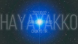 2021.10.02   中京11R  シリウスステークス(Sirius Stakes)   ハヤヤッコ　現地観戦(映像)