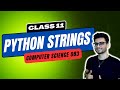 Strings COMPLETE THEORY for class 11 | Computer Science 083