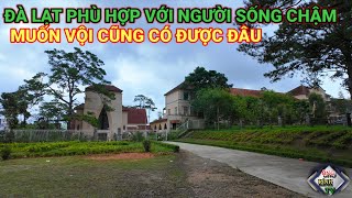 ĐÀ LẠT CHỈ PHÙ HỢP NGƯỜI SỐNG CHẬM, MUỐN VỘI CŨNG KHÔNG ĐƯỢC