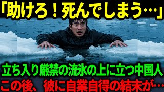 【海外の反応】「助けろ！死にたくない…！」立ち入り禁止を無視して流氷に乗った中国人観光客…その後、彼に訪れた自業自得の結末…。そしてその後、自国でとった彼らの行動に感動の展開！