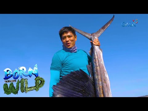 Born to be Wild: Bycatch fishing