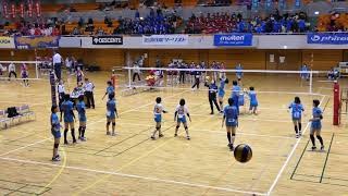 練習 共栄学園 - 京都橘 [準決勝]2019年3月29日(金)さくらバレー第24回全国私学男女バレーボール選手権大会[女子]