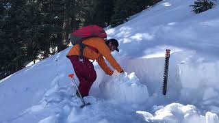 Depth Hoar: Persistent Weak Layer