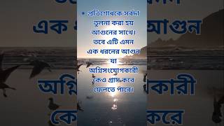 প্রতিশোধকে সর্বদা তুলনা করা হয় আগুনের সাথে। #motivation #মোটিভেশন #lifestyle #effects #প্রতিশোধ