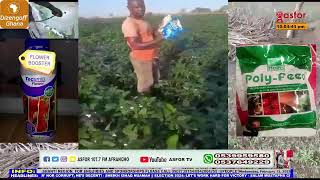 ASFOR AKUAFO MMERE WITH DUNCAN THE MESSENGER (TIME WITH DEZINGOF GHANA) 12-02-2025