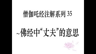 僧伽吒经注解系列35：佛经中\