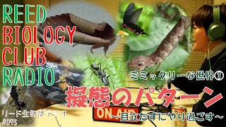 擬態のパターン  ～マネすることで生き抜いた～ ミミックリーな世界①  　【リード生物部ラジオ#095】