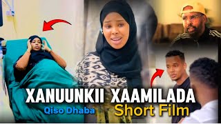 Taxane 6: Xanuunkii xaamilada |short film qiso dhaba 2025