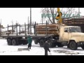 unloading of pine logs from the railway wagons to trucks ukraine vasilkov