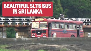 Beautiful SLTB Bus in Sri Lanka