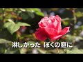 バラが咲いた（浜口庫之助）【歌あり／歌詞つき】オリジナルアレンジ