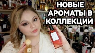 НОВЫЕ АРОМАТЫ💓НОВЫЕ БРЕНДЫ💓