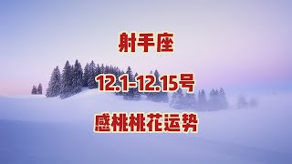 射手座，12.1-12.15号，感情桃花运势