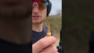 6.5 Creedmoor Stopping Power Test #firearms #308 #gun