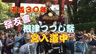 平成30年　根津神社つつじ祭り　祭友會　神輿渡御【宮入】