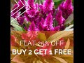 Cock's Comb Plant for sale @ padmamnursery.com