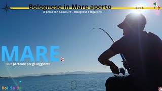 Pesca Bolognese Mare Aperto. APescaConCinqueMilaLire #fishing #pesca #mare #fish #sport