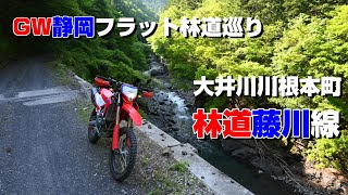 【CRF250L】GW静岡フラット林道巡り【藤川線】